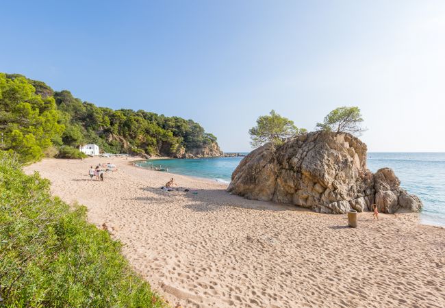 Villa en Lloret de Mar - 2ANG 01 - Acogedora y gran casa de 5 habitaciones con piscina privada cerca la playa de Cala Canyelles