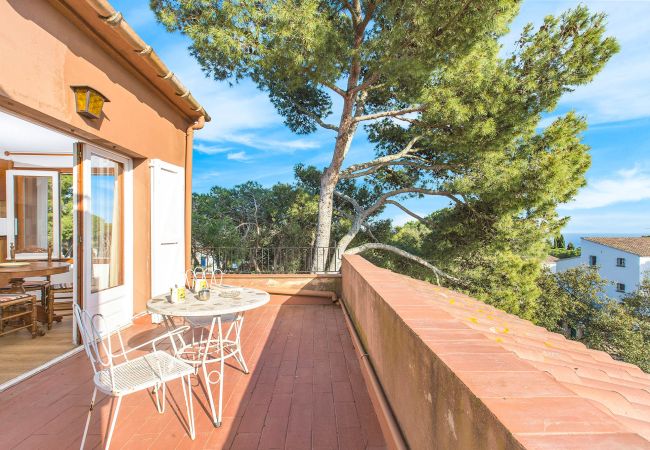 Estudio en Calella de Palafrugell - 1BENET EST - Casa dividida en 3 apartamentos totalmente independientes con piscina compartida a tan solo 1 km de la playa de Calella de Palafrugell Estudio en Calella de Palafrugell - 1BENET EST - Casa dividida en 3 apartamentos totalmente independientes con piscina compartida a tan solo 1 km de la playa de Calella de Palafrugell