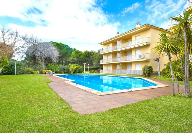 Apartamento en Llafranc - 1CEN A1 - Apartamento sencillo con jardín y piscina comunitaria  a 800m de la playa de Llafranc  Apartamento en Llafranc - 1CEN A1 - Apartamento sencillo con jardín y piscina comunitaria  a 800m de la playa de Llafranc