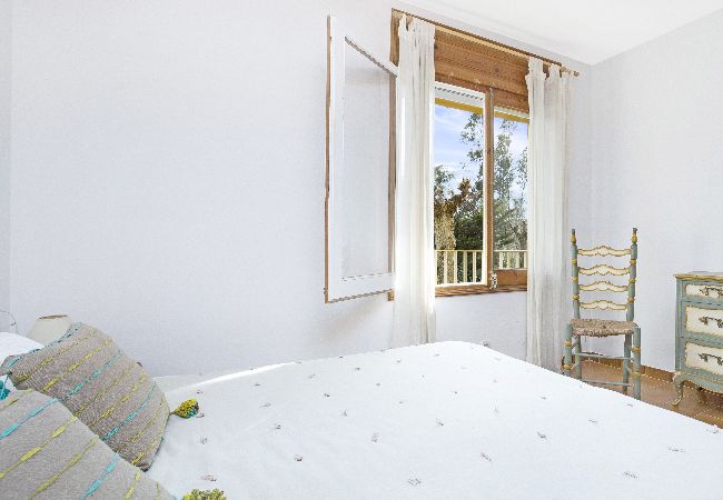 Apartamento en Llafranc - 1CEN A2 - Apartamento sencillo con jardín y piscina comunitaria a 800m de la playa de Llafranc Apartamento en Llafranc - 1CEN A2 - Apartamento sencillo con jardín y piscina comunitaria a 800m de la playa de Llafranc