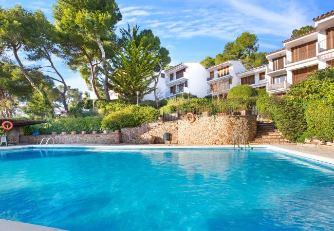 Apartamento en Llafranc - 1CLIP H3 - Apartamento reformado situado a tan solo 500m de la playa de Llafranc  Apartamento en Llafranc - 1CLIP H3 - Apartamento reformado situado a tan solo 500m de la playa de Llafranc