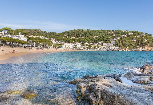 Apartamento en Calella de Palafrugell - 1CB K2 - Apartamento con dos habitaciones en una zona muy tranquila con jardín y piscina comunitaria cerca de la playa de Calella de Palafrugell Apartamento en Calella de Palafrugell - 1CB K2 - Apartamento con dos habitaciones en una zona muy tranquila con jardín y piscina comunitaria cerca de la playa de Calella de Palafrugell