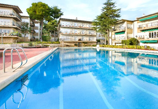 Apartamento en Calella de Palafrugell - 1MG G2 - Apartamento básico con piscina comunitaria situado a  400m de la playa de Calella de Palafrugell
