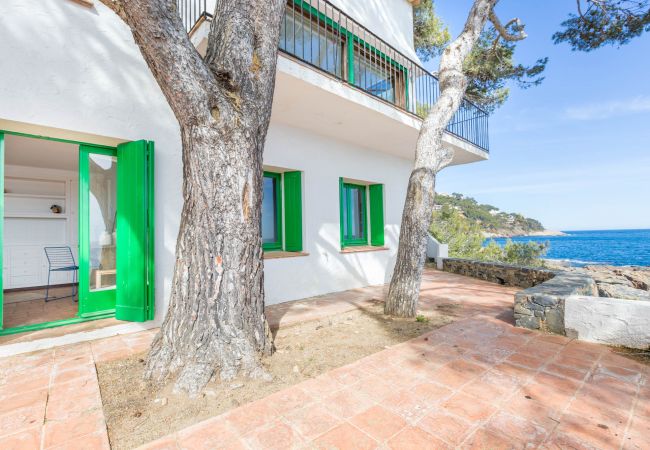 Villa en Llafranc - 1MARINE 01 - Casa con unas espectaculares vistas al mar situada en una zona privilegiada en el  precioso camino de ronda entre Llafranc y Calella de Palafrugell Villa en Llafranc - 1MARINE 01 - Casa con unas espectaculares vistas al mar situada en una zona privilegiada en el  precioso camino de ronda entre Llafranc y Calella de Palafrugell