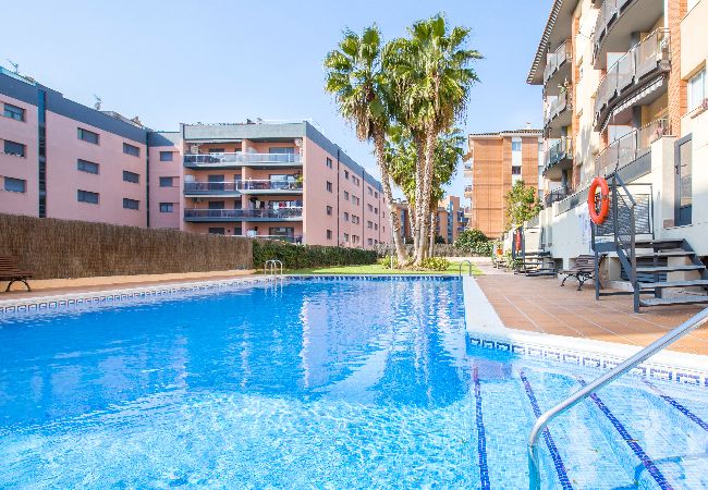 Apartamento en Lloret de Mar - 2P53 - Acogedor apartamento para 4 personas con piscina situado cerca del centro y dela playa de Fenals (Lloret de Mar)  Apartamento en Lloret de Mar - 2P53 - Acogedor apartamento para 4 personas con piscina situado cerca del centro y dela playa de Fenals (Lloret de Mar)