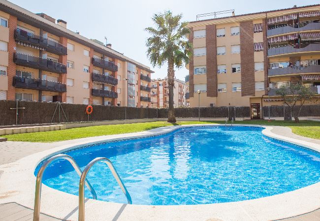 Apartamento en Lloret de Mar - 2ROS01 -Acogedor apartamento de 3 habitaciones con piscina situado cerca de la playa de Fenals (Lloret de Mar) Apartamento en Lloret de Mar - 2ROS01 -Acogedor apartamento de 3 habitaciones con piscina situado cerca de la playa de Fenals (Lloret de Mar)