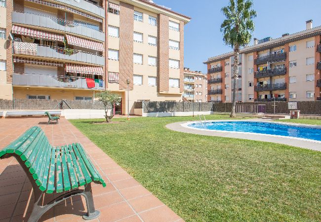 Apartamento en Lloret de Mar - 2ROS01 -Acogedor apartamento de 3 habitaciones con piscina situado cerca de la playa de Fenals (Lloret de Mar) Apartamento en Lloret de Mar - 2ROS01 -Acogedor apartamento de 3 habitaciones con piscina situado cerca de la playa de Fenals (Lloret de Mar)