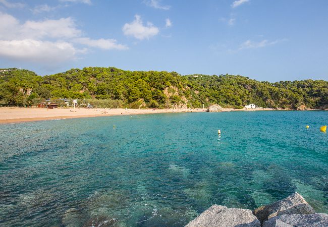 Villa en Lloret de Mar - 2MTC - Casa con piscina privada y vistas al mar situada en una zona residencial tranquila a tan sólo 3 km de la bonita playa de Canyelles Villa en Lloret de Mar - 2MTC - Casa con piscina privada y vistas al mar situada en una zona residencial tranquila a tan sólo 3 km de la bonita playa de Canyelles