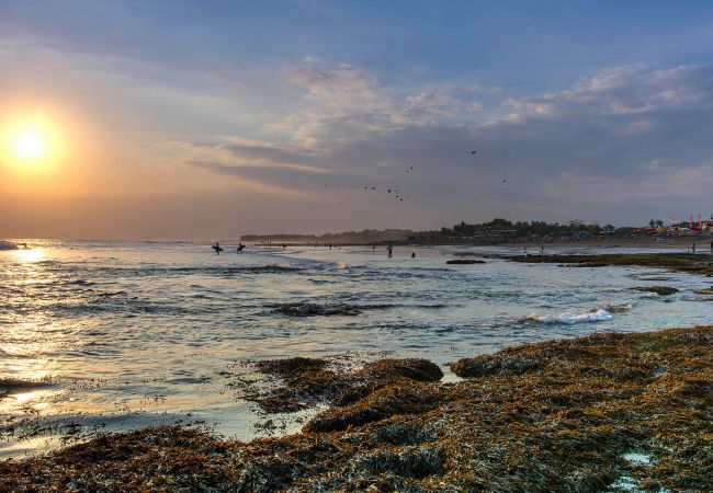 Villa en Mengwi -  Seseh Beach Villa II - Villa de lujo enfrente la playa de Bali  Villa en Mengwi -  Seseh Beach Villa II - Villa de lujo enfrente la playa de Bali