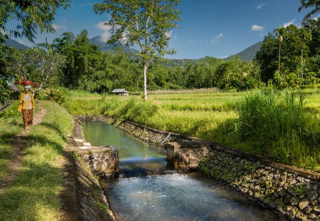 Villa en Mengwi -  Seseh Beach Villa II - Villa de lujo enfrente la playa de Bali  Villa en Mengwi -  Seseh Beach Villa II - Villa de lujo enfrente la playa de Bali