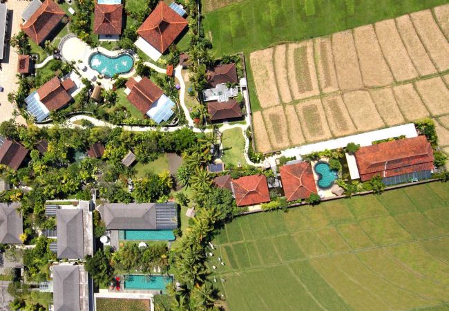 Villa en Canggu - Dea Villas - Radha Villa en Canggu - Dea Villas - Radha