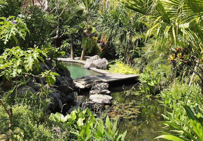 Villa en Canggu - Dea Villas - Radha Villa en Canggu - Dea Villas - Radha