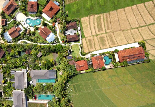 Villa en Canggu - Dea Villas - Sati Villa en Canggu - Dea Villas - Sati