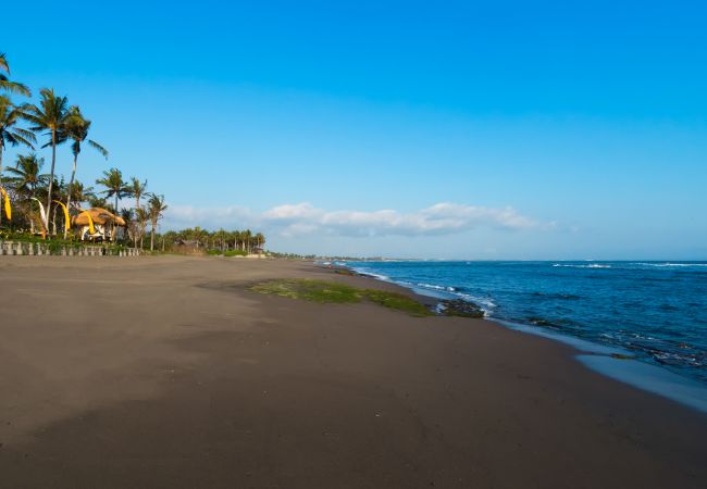 Villa en Mengwi - Taman Ahimsa Villa en Mengwi - Taman Ahimsa