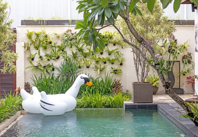 Villa en Kerobokan - Amrina- Casa de 3 habitacions con piscina en Bali