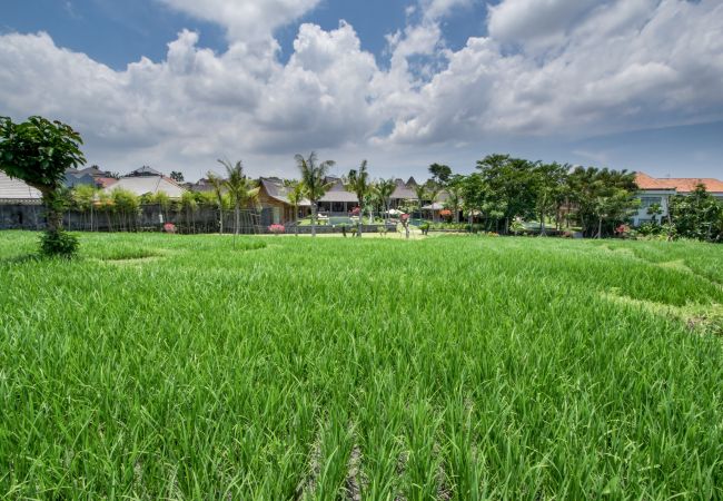 Villa en Kerobokan - Mannao - Espectacular casa de 8 habitaciones con piscina en Bali Villa en Kerobokan - Mannao - Espectacular casa de 8 habitaciones con piscina en Bali
