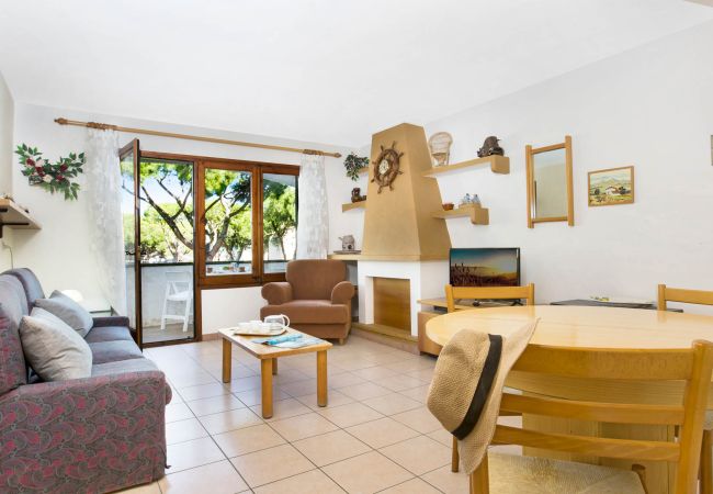 Apartament en Pals - 1ARCH1 Apartament senzill situat a la Platja de Pals, a 150 metres de la platja. Apartament en Pals - 1ARCH1 Apartament senzill situat a la Platja de Pals, a 150 metres de la platja.