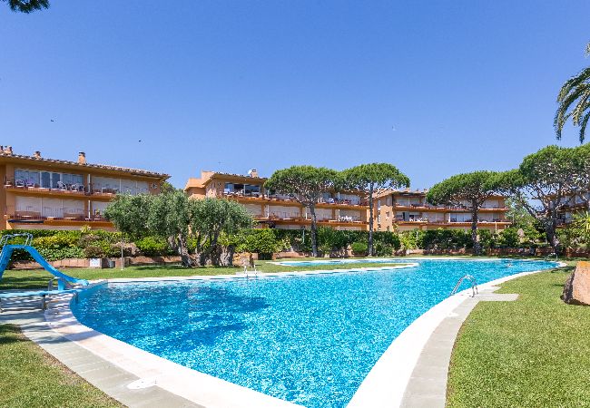 Apartament en Calella de Palafrugell - 1I 58 - Apartament reformat amb piscina comunitària situat a pocs minuts caminant de la platja de Calella de Palafrugell Apartament en Calella de Palafrugell - 1I 58 - Apartament reformat amb piscina comunitària situat a pocs minuts caminant de la platja de Calella de Palafrugell