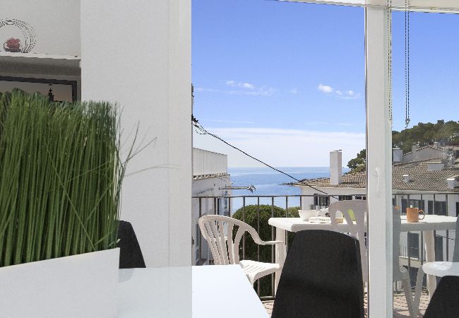 Apartament en Llafranc - 1MARS 02 - Apartament senzill amb 3 habitacions situat a primera línia de mar de la platja de Llafranc