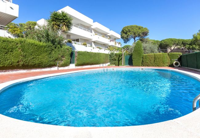 Apartament en Pals - 1OP 01 - Apartament ubicat a Pals, en un complex residencial amb piscina, a 400 m de la platja Apartament en Pals - 1OP 01 - Apartament ubicat a Pals, en un complex residencial amb piscina, a 400 m de la platja