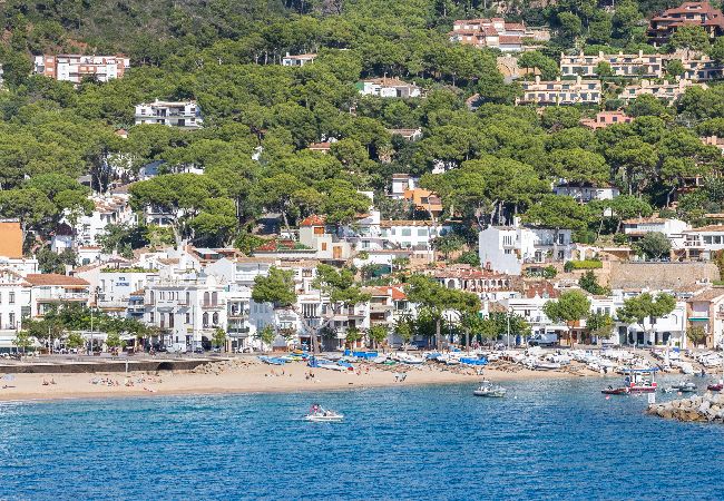 Apartament en Llafranc - 1PLG PL - Apartament senzill amb 3 habitacions a només 150 metres de la bonica platja de Llafranc Apartament en Llafranc - 1PLG PL - Apartament senzill amb 3 habitacions a només 150 metres de la bonica platja de Llafranc