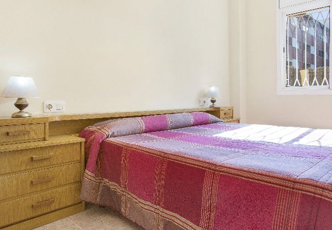 Apartament en Lloret de Mar - 2P51- Acollidor apartament amb piscina situat a prop del centre i de la platja de Fenals (Lloret de Mar) Apartament en Lloret de Mar - 2P51- Acollidor apartament amb piscina situat a prop del centre i de la platja de Fenals (Lloret de Mar)