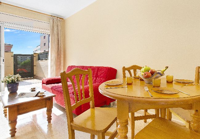 Apartament en Lloret de Mar - 2P53 - Acollidor apartament per a 4 persones amb piscina situat a prop del centre i de la platja de Fenals (Lloret de Mar) Apartament en Lloret de Mar - 2P53 - Acollidor apartament per a 4 persones amb piscina situat a prop del centre i de la platja de Fenals (Lloret de Mar)