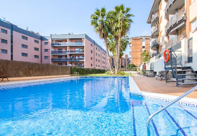 Apartament en Lloret de Mar - 2P53 - Acollidor apartament per a 4 persones amb piscina situat a prop del centre i de la platja de Fenals (Lloret de Mar)