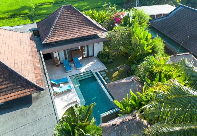 Vil.la en Ubud - Liang Ubud- Bonica casa de 3 habitacions amb piscina a Bali