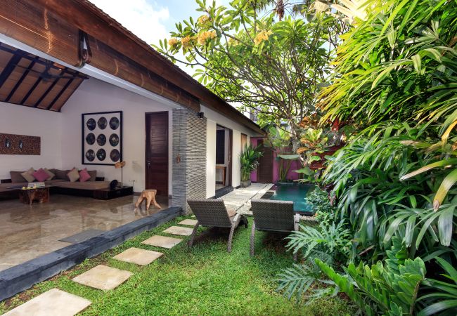 Vil.la en Seminyak - Anjali Purple - Villa d'1 habitació amb piscina a Bali Vil.la en Seminyak - Anjali Purple - Villa d'1 habitació amb piscina a Bali