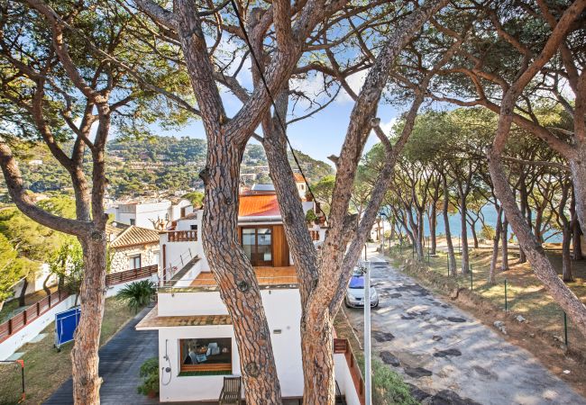 Apartment in Llafranc - 1ANC 10 - Basic 1 bedroom apartment located very close to the beach of Llafranc