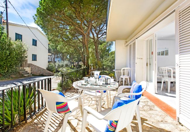 Apartment in Llafranc - 1ANC 13B - Basic 1 bedroom apartment located very close to the beach of Llafranc Apartment in Llafranc - 1ANC 13B - Basic 1 bedroom apartment located very close to the beach of Llafranc