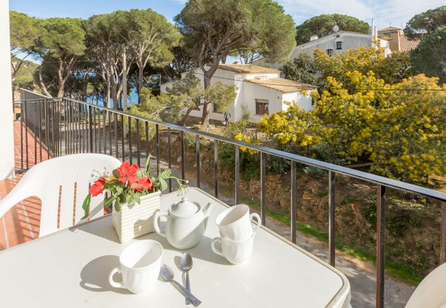 Apartment in Llafranc - 1ANC 14B - Basic 1 bedroom apartment located very close to the beach of Llafranc