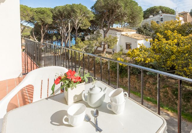 Apartment in Llafranc - 1ANC 15B - Basic 1 bedroom apartment located very close to the beach of Llafranc