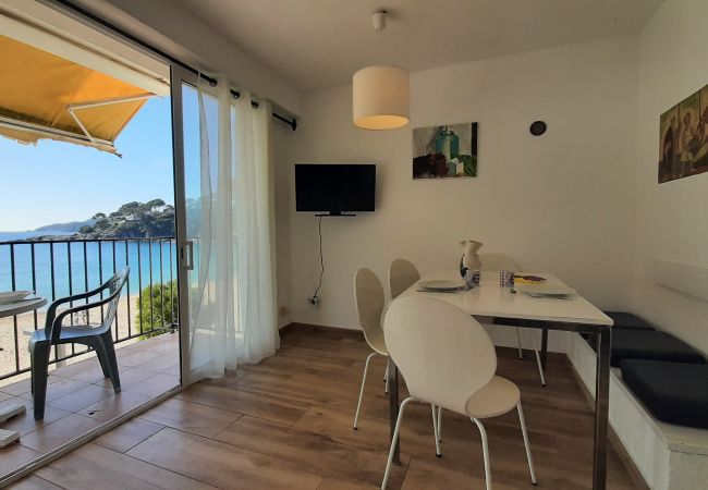 Apartment in Llafranc - 1BON 2 - Basic apartment for 6 persons in Llafranc, in front of the sea