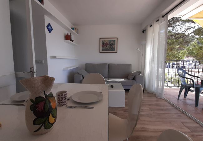 Apartment in Llafranc - 1BON 2 - Basic apartment for 6 persons in Llafranc, in front of the sea