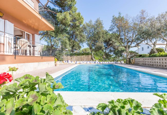 Villa in Calella de Palafrugell - 1BENET 1 - House divided into 3 totally independent apartments with shared pool just 1 km from the beach of Calella de Palafrugell Villa in Calella de Palafrugell - 1BENET 1 - House divided into 3 totally independent apartments with shared pool just 1 km from the beach of Calella de Palafrugell