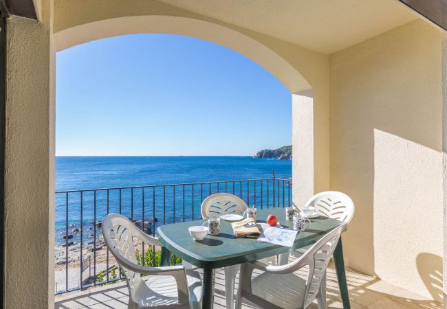 Apartment in Calella de Palafrugell - 1CAN02 -  3 Bedroom apartment with terrace located in front of the beach of Calella de Palafrugell. Apartment in Calella de Palafrugell - 1CAN02 -  3 Bedroom apartment with terrace located in front of the beach of Calella de Palafrugell.