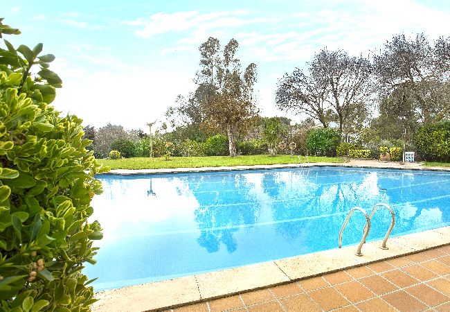 Apartment in Llafranc - 1CEN B2-Basic apartment with communal swimming-pool and garden located only 800m from the beach of Llafranc