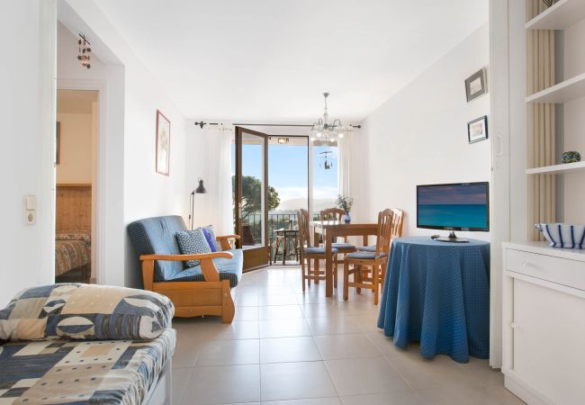 Apartment in Llafranc - 1CLIP H3 -Renovated apartment located in a very quiet area only 500m from the beach of Llafranc. Apartment in Llafranc - 1CLIP H3 -Renovated apartment located in a very quiet area only 500m from the beach of Llafranc.