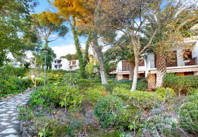 Apartment in Llafranc - 1CLIP H3 -Renovated apartment located in a very quiet area only 500m from the beach of Llafranc. Apartment in Llafranc - 1CLIP H3 -Renovated apartment located in a very quiet area only 500m from the beach of Llafranc.