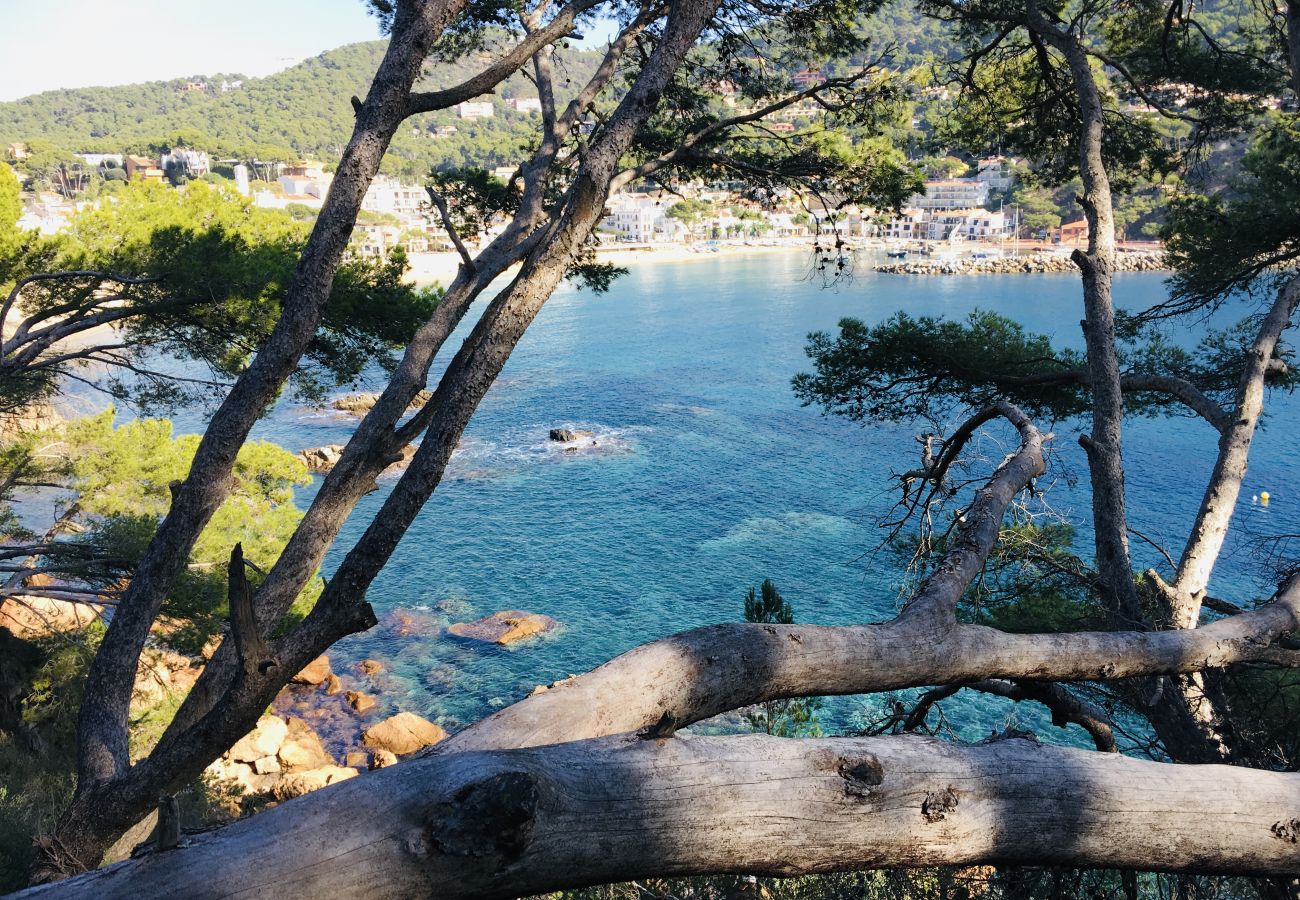 Apartment in Calella de Palafrugell - 1CB - E4 Renovated apartment with communal swimming-pool and garden  close to the beach