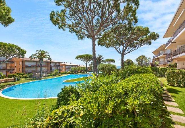 Apartment in Calella de Palafrugell -  1I 23 - Cozy apartment with pool near the beach of Calella de Palafrugell Apartment in Calella de Palafrugell -  1I 23 - Cozy apartment with pool near the beach of Calella de Palafrugell