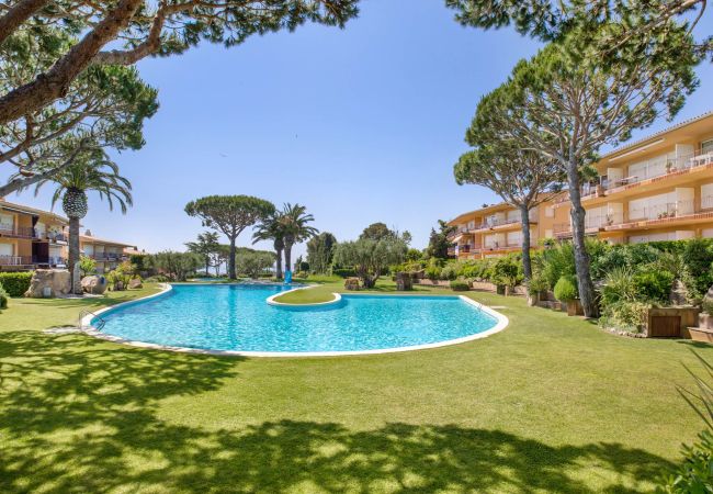 Apartment in Calella de Palafrugell -  1I 23 - Cozy apartment with pool near the beach of Calella de Palafrugell Apartment in Calella de Palafrugell -  1I 23 - Cozy apartment with pool near the beach of Calella de Palafrugell