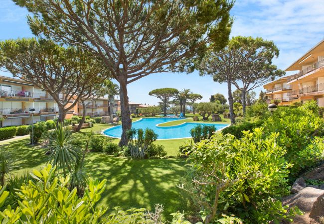 Apartment in Calella de Palafrugell -  1I 23 - Cozy apartment with pool near the beach of Calella de Palafrugell Apartment in Calella de Palafrugell -  1I 23 - Cozy apartment with pool near the beach of Calella de Palafrugell