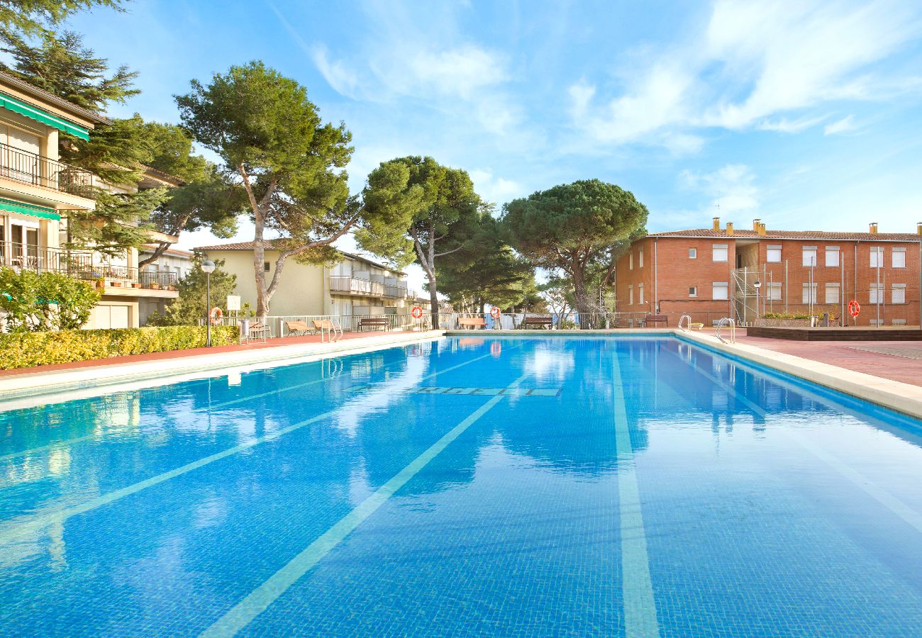 Apartment in Calella de Palafrugell - 1MG G2 - Basic 2 bedroom apartment with communal swimming pool  located 400m from the beach of Calella de Palafrugell,