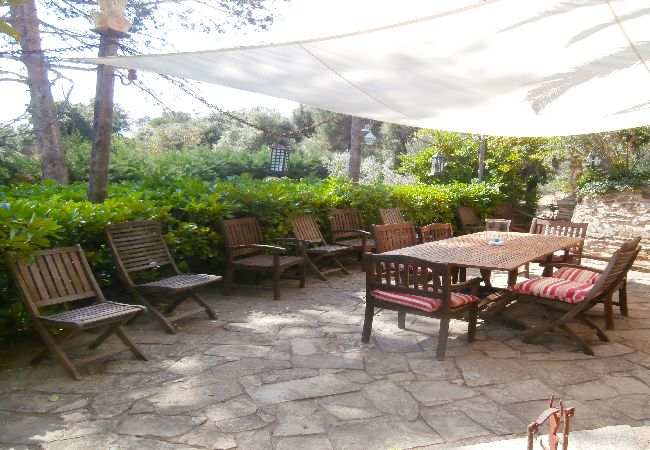 Villa in Cruilles, Monells y San Sadurní - 1MASIA CM - Wonderful restored house from the 17th Century located in the village of Cruïlles, 8 km from the centre and 25 km from the beach. Villa in Cruilles, Monells y San Sadurní - 1MASIA CM - Wonderful restored house from the 17th Century located in the village of Cruïlles, 8 km from the centre and 25 km from the beach.