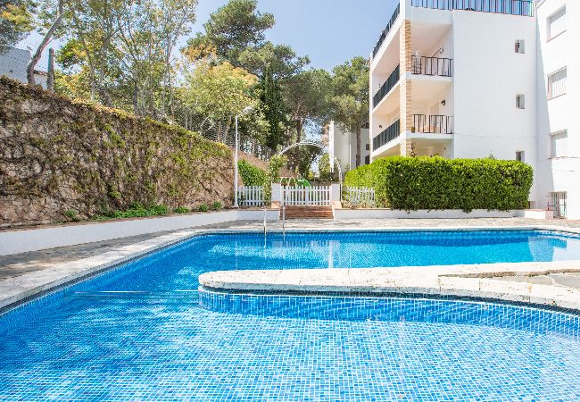 Apartment in Llafranc - 1OREN 01 - Basic apartment with communal pool located a few minutes walk from the beach of Llafranc