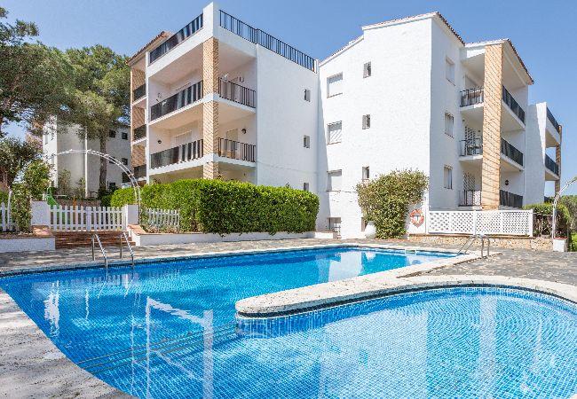Apartment in Llafranc - 1OREN 01 - Basic apartment with communal pool located a few minutes walk from the beach of Llafranc