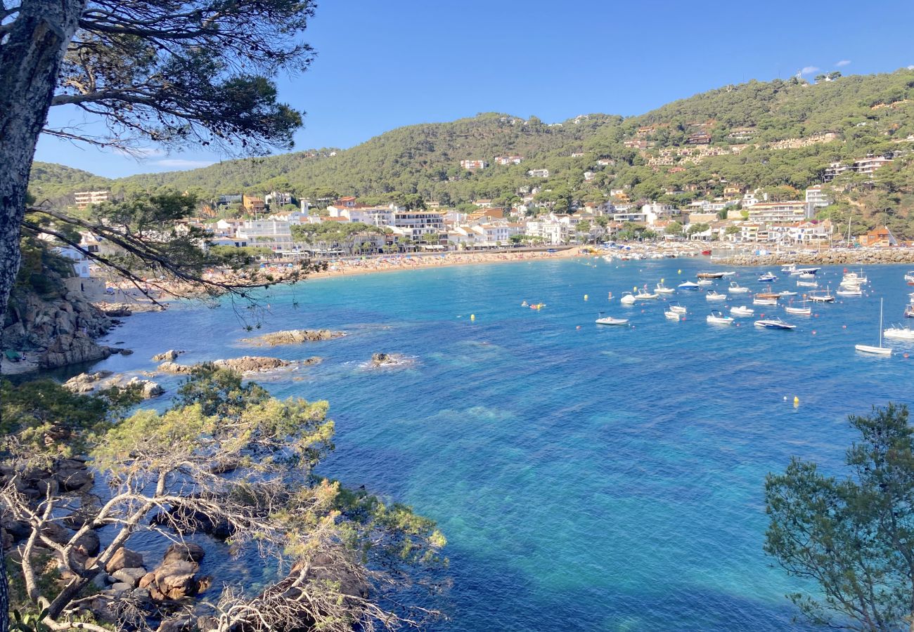Villa in Llafranc - 1PAST 02 - Magnificent house with communal swimming pool in Llafranc, only 450m away from the beach